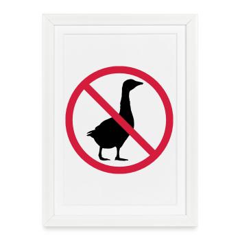 Signe interdit d'oie - Affiche encadrée (27 × 37 cm) - blanc - Devant