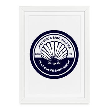 La Coquille Saint Jacques Baie de Saint-Brieuc - Affiche encadrée (27 × 37 cm) - blanc - Devant