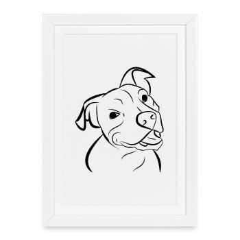 Tête de chien pitbull chien - Affiche encadrée (27 × 37 cm) - blanc - Devant