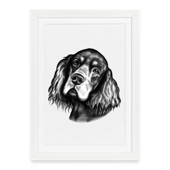 Regards de chien - Affiche encadrée (27 × 37 cm) - blanc - Devant
