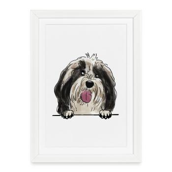 Tibetan Terrier Dog for Peeking Dog Lovers - Framed poster (27 × 37 cm) - white - Front
