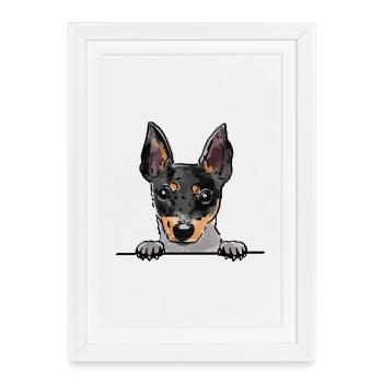 Jouet Fox Terrier Chien pour les amateurs de chiens qui jettent un coup d’œil - Affiche encadrée (27 × 37 cm) - blanc - Devant