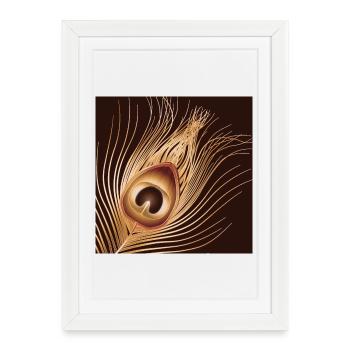 plume de paon dorée dessinée à la main - Affiche encadrée (27 × 37 cm) - blanc - Devant