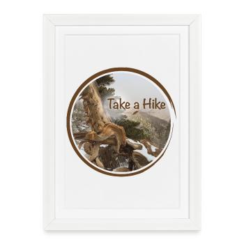 old gnarled tree on the Pacific Crest Trail - Framed poster (27 × 37 cm) - white - Front