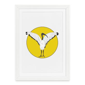 Oiseau de poulet poubelle - Affiche encadrée (27 × 37 cm) - blanc - Devant