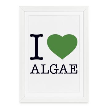 I LOVE ALGAE Algen - Framed poster (27 × 37 cm) - white - Front