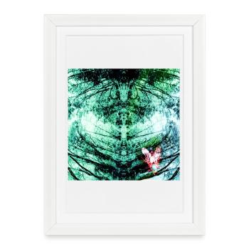 Reflet de la forêt Sarcelle Papillon - Affiche encadrée (27 × 37 cm) - blanc - Devant