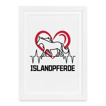 Cheval Amour Coeur Chevaux Islandais Etalon - Affiche encadrée (27 × 37 cm) - blanc - Devant