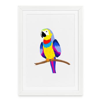Perroquet coloré sur une branche - jaune - Affiche encadrée (27 × 37 cm) - blanc - Devant