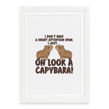Motif animalier du zoo de Capybara - Affiche encadrée (27 × 37 cm) - blanc - Devant