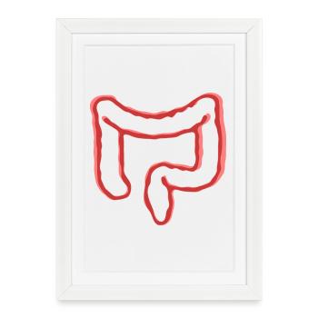 ORGANE INTESTINAL - Affiche encadrée (27 × 37 cm) - blanc - Devant