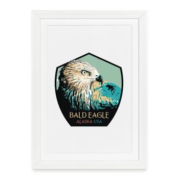 Portrait d’aigle à tête blanche d’Alaska - Affiche encadrée (27 × 37 cm) - blanc - Devant