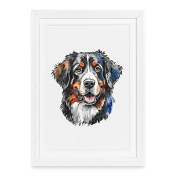 Portrait de bouvier bernois - Affiche encadrée (27 × 37 cm) - blanc - Devant