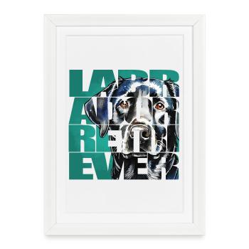 Labrador Retriever Portrait - Affiche encadrée (27 × 37 cm) - blanc - Devant