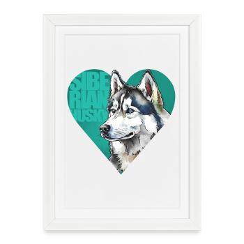 Siberian Husky Portrait - Framed poster (27 × 37 cm) - white - Front