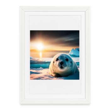 Bébé Phoque - Affiche encadrée (27 × 37 cm) - blanc - Devant