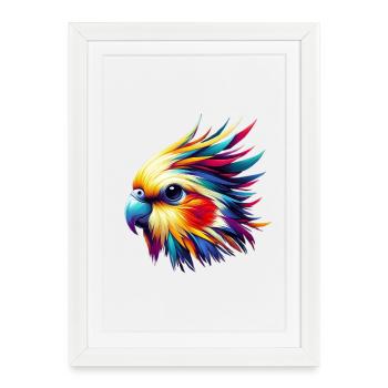 Calopsitte (16) - Affiche encadrée (27 × 37 cm) - blanc - Devant