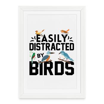 Facilement distrait par les oiseaux - Affiche encadrée (27 × 37 cm) - blanc - Devant