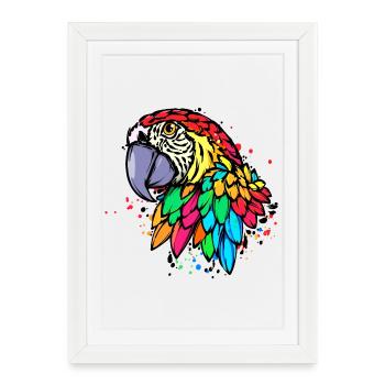 Oiseau, Perroquet, Zoo, Animal, Amoureux Des Animaux, Animal De Compagnie - Affiche encadrée (27 × 37 cm) - blanc - Devant