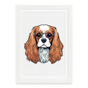 cavalier King Charles, chien, chien mignon - Affiche encadrée (27 × 37 cm) - blanc - Devant