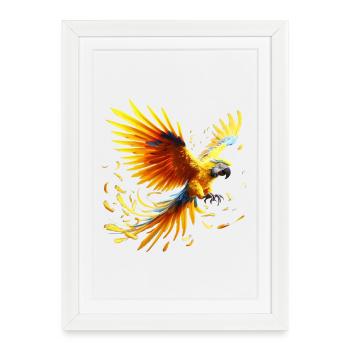 Ara (01) - Affiche encadrée (27 × 37 cm) - blanc - Devant