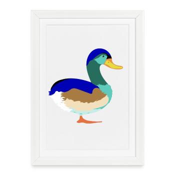 Pretty Colorful Mallard - Framed poster (27 × 37 cm) - white - Front