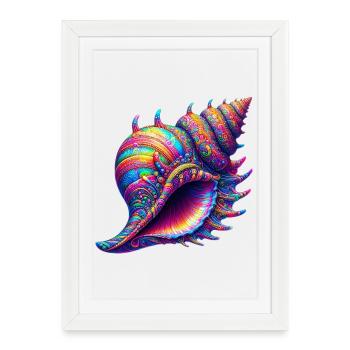 Shell - Framed poster (27 × 37 cm) - white - Front