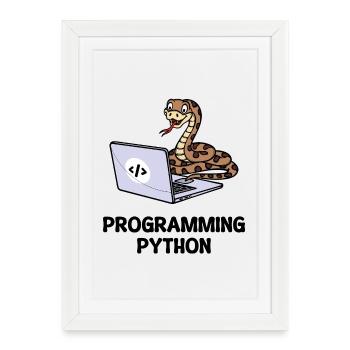 Developer Funny Sayings Programmer Computer - Framed poster (27 × 37 cm) - white - Front