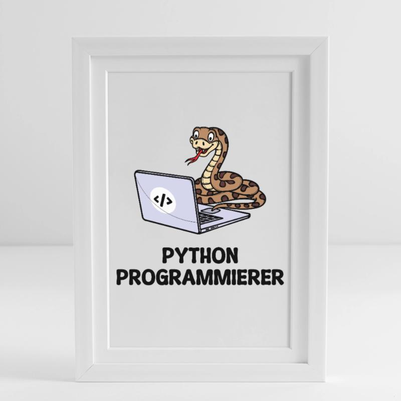 Programmer Computer Code Developer Statement Framed poster (27 × 37 cm)