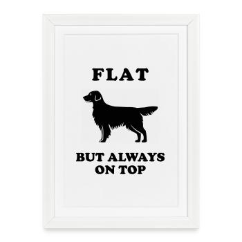 My beautiful Flat Coated Retriever - Gerahmtes Poster (27 × 37 cm) - Weiß - Vorne