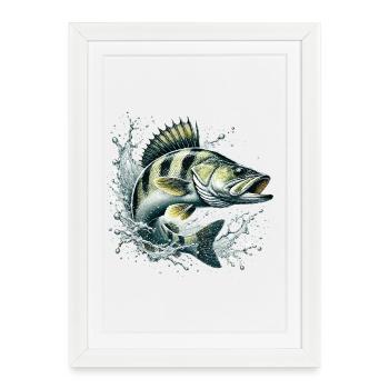 Sandre - Affiche encadrée (27 × 37 cm) - blanc - Devant