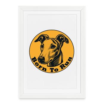 Whippet né pour courir - Affiche encadrée (27 × 37 cm) - blanc - Devant