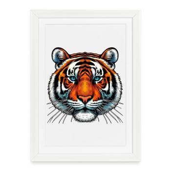 Tiger - Framed poster (27 × 37 cm) - white - Front