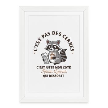 C'est pas des cernes, c'est mon côté raton laveur - Affiche encadrée (27 × 37 cm) - blanc - Devant