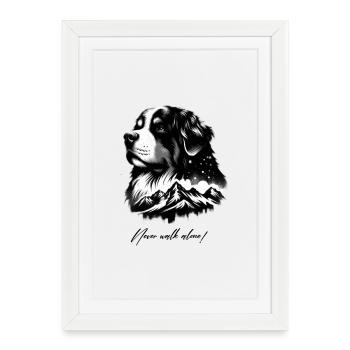 Bernese mountain dog - Framed poster (27 × 37 cm) - white - Front