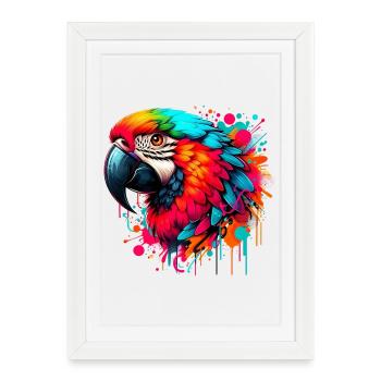 Perroquet - Affiche encadrée (27 × 37 cm) - blanc - Devant