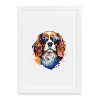 Cavalier Kings Charles Spaniel avec lunettes de soleil - Affiche encadrée (27 × 37 cm) - blanc - Devant
