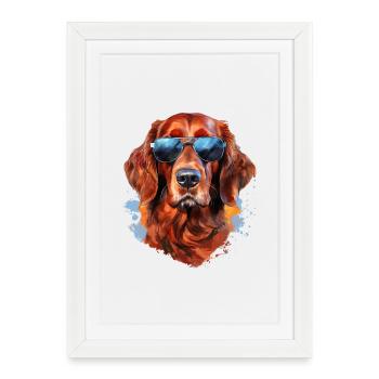 Setter irlandais avec lunettes de soleil - Affiche encadrée (27 × 37 cm) - blanc - Devant