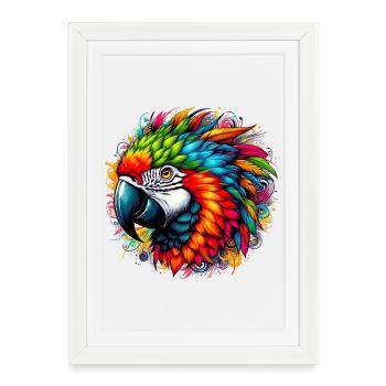Perroquet - Affiche encadrée (27 × 37 cm) - blanc - Devant