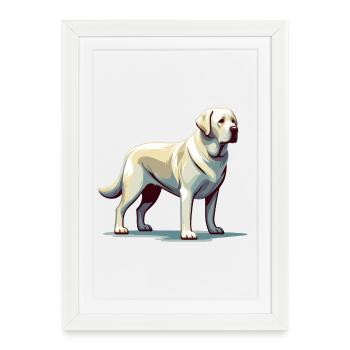 Labrador blanc debout - Affiche encadrée (27 × 37 cm) - blanc - Devant