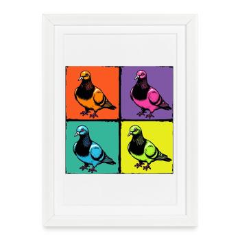 Pigeons colorés - Affiche encadrée (27 × 37 cm) - blanc - Devant