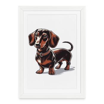 Dachshund - Framed poster (27 × 37 cm) - white - Front