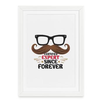 Certified Expert Since Forever - Framed poster (27 × 37 cm) - white - Front