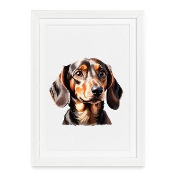 Teckel Portrait de chien ludique - Affiche encadrée (27 × 37 cm) - blanc - Devant