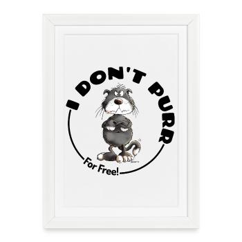 , je ne ronronne pas, chat disant chats - Affiche encadrée (27 × 37 cm) - blanc - Devant