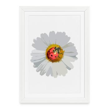 Daisies with Ladybug Motif - Framed poster (27 × 37 cm) - white - Front