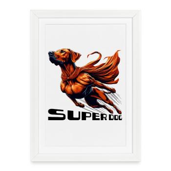 Super Dog Rhodesian Ridgeback RR Ridgie Gift - Framed poster (27 × 37 cm) - white - Front