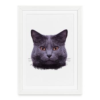 grauer Katzenkopf  - Gerahmtes Poster (27 × 37 cm) - Weiß - Vorne