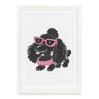 Drôle de caniche - Affiche encadrée (27 × 37 cm) - blanc - Devant
