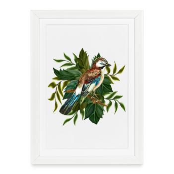 Oiseau coloré - Affiche encadrée (27 × 37 cm) - blanc - Devant